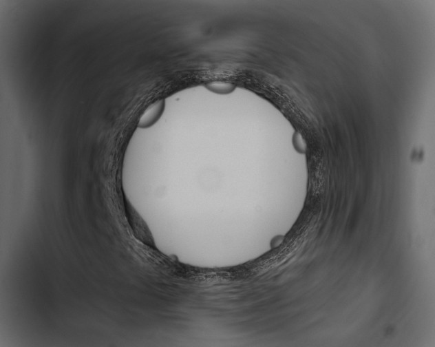 X0000103911441200809191108