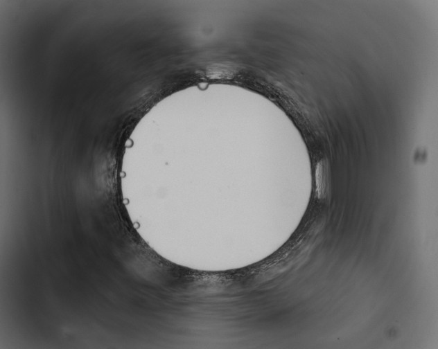 X0000103911443200809191108