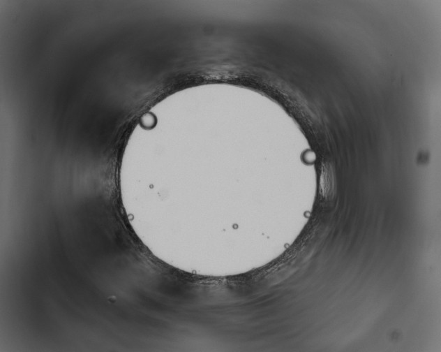 X0000103911444200809191108