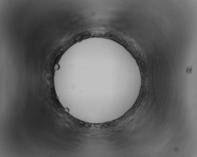 X0000103911445200809191108