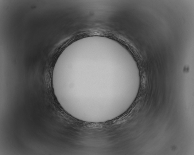 X0000103911446200809191108