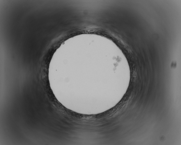 X0000103911447200809191108
