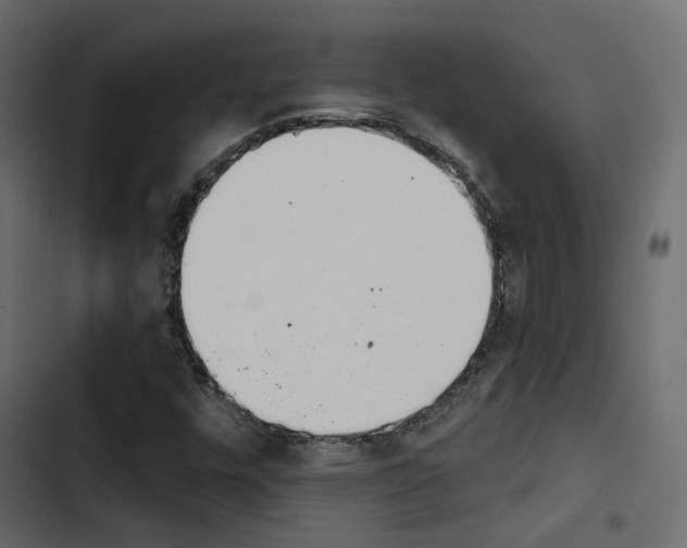 X0000103911448200809191108