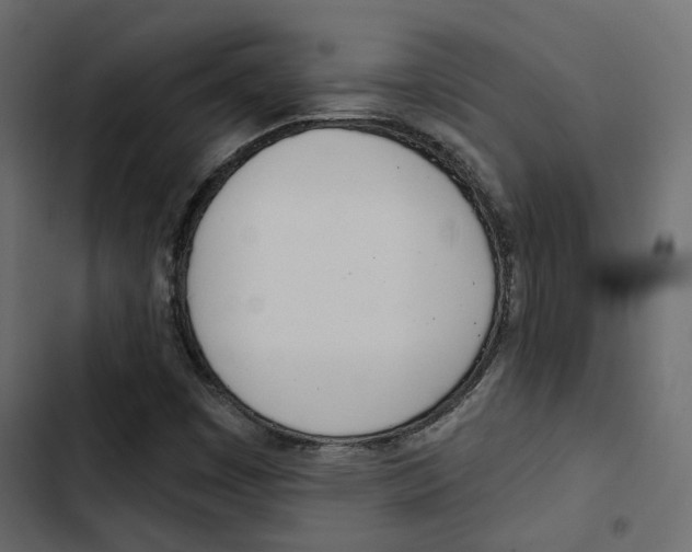 X0000103911449200809191108