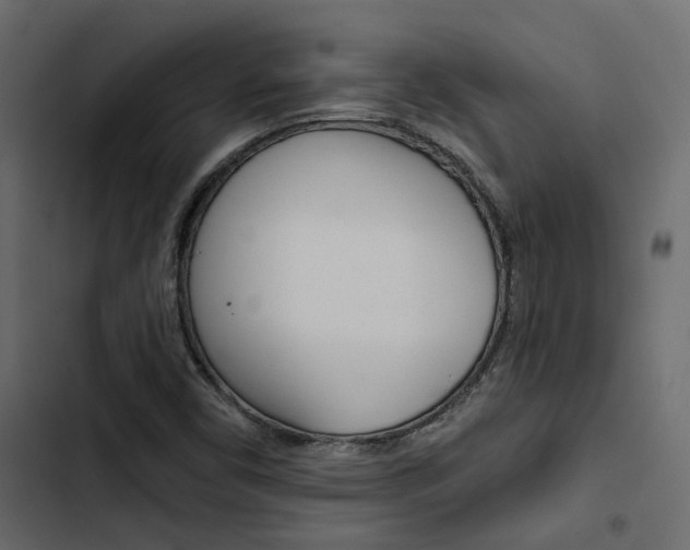 X0000103911450200809191108
