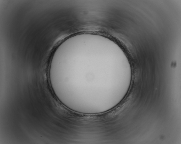 X0000103911451200809191108