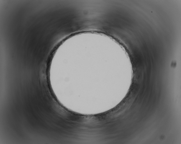 X0000103911452200809191108