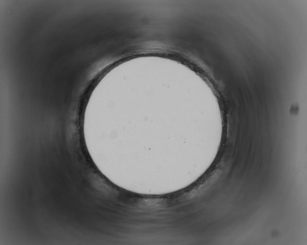 X0000103911453200809191108