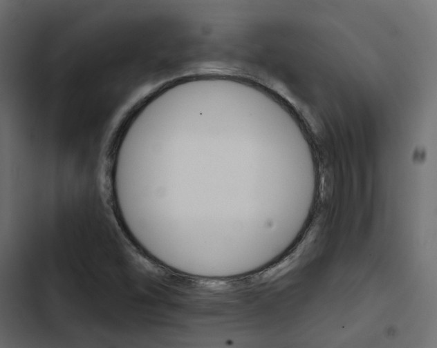 X0000103911454200809191108