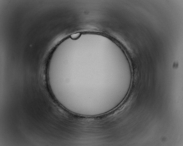 X0000103911455200809191108