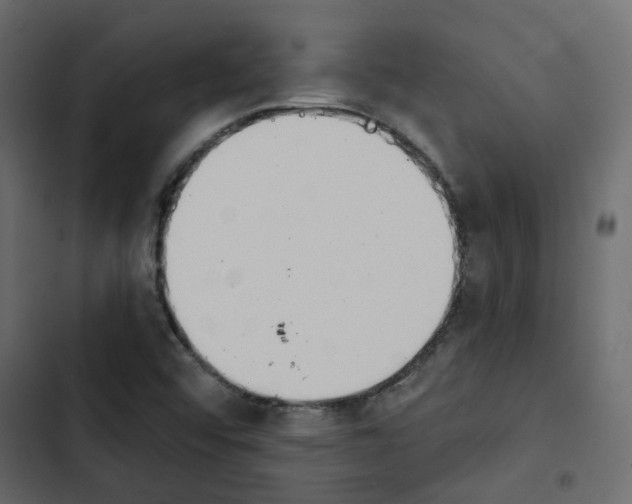 X0000103911456200809191108