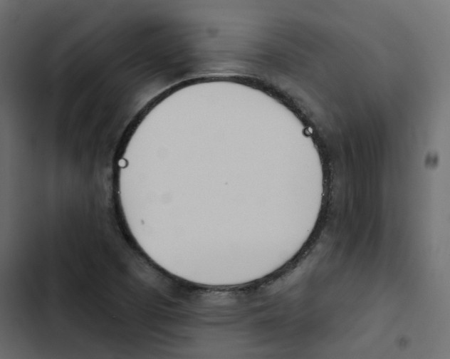 X0000103911457200809191108