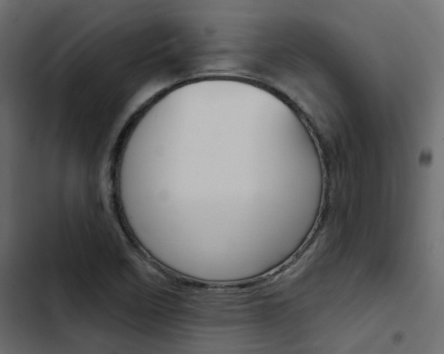 X0000103911458200809191108