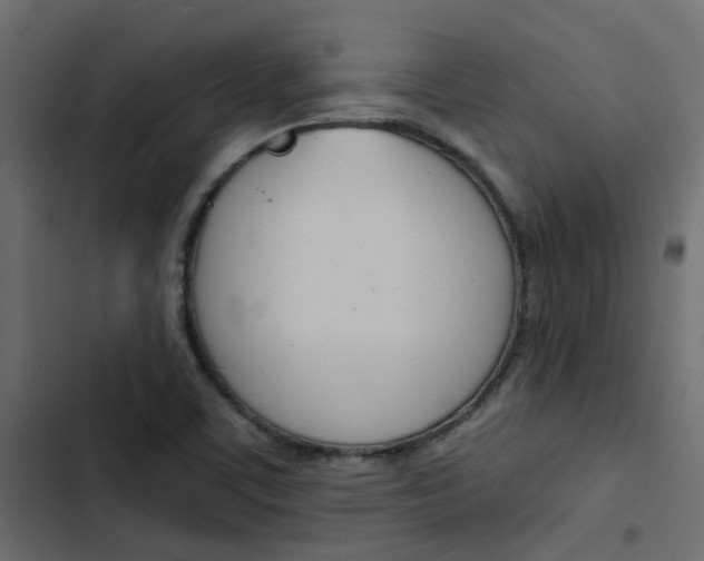 X0000103911459200809191108