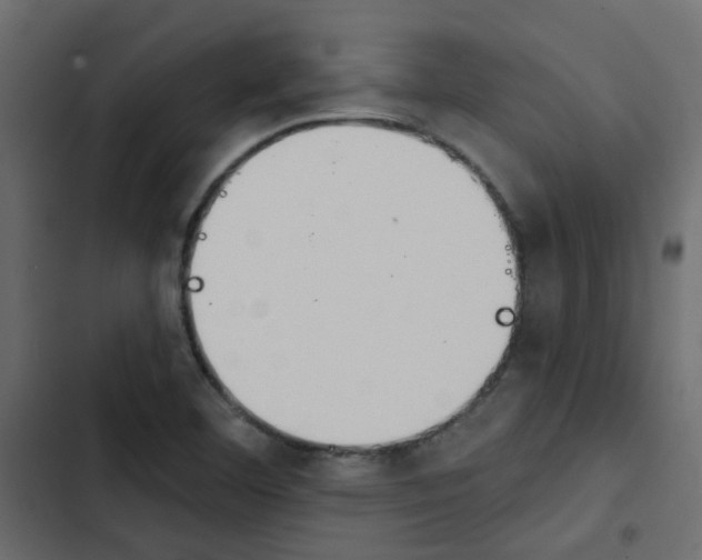 X0000103911460200809191108