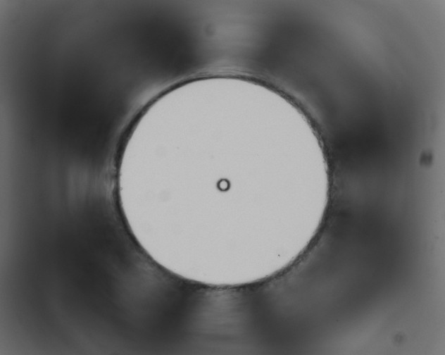 X0000103911461200809191108