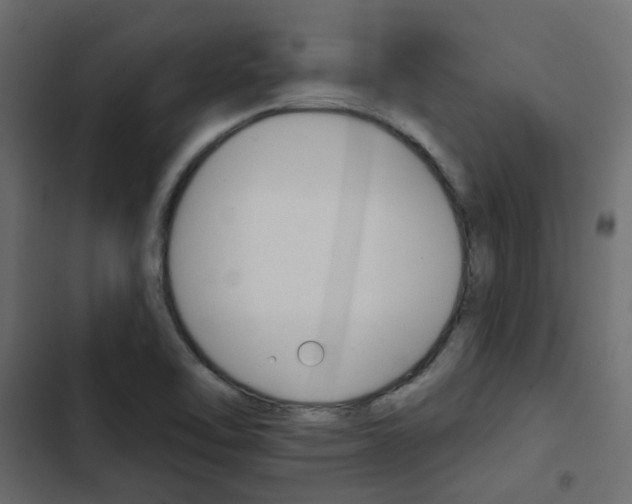 X0000103911462200809191108