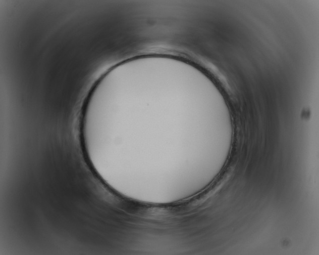 X0000103911463200809191107