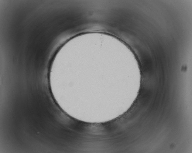 X0000103911464200809191107