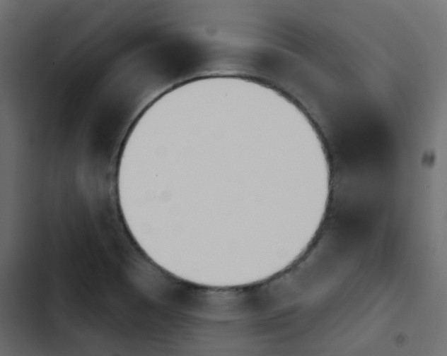 X0000103911465200809191107