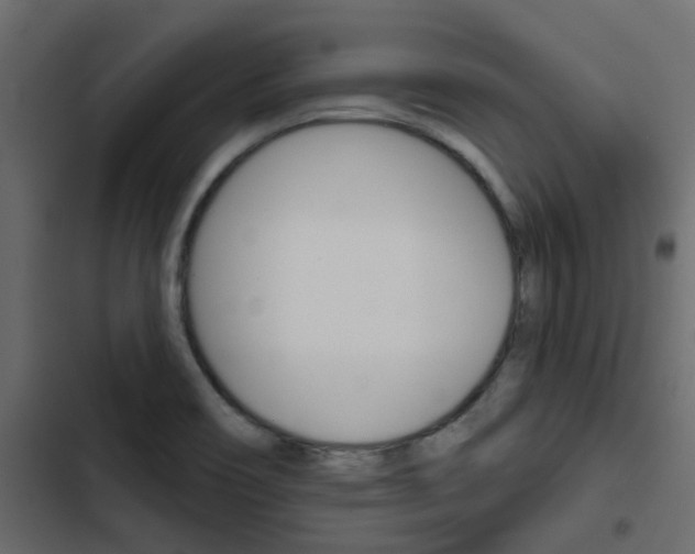 X0000103911466200809191107