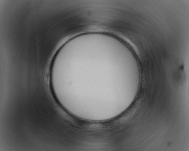 X0000103911467200809191107