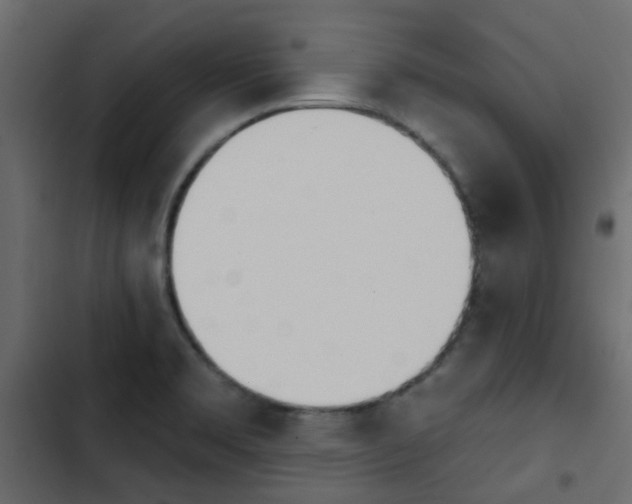 X0000103911469200809191107