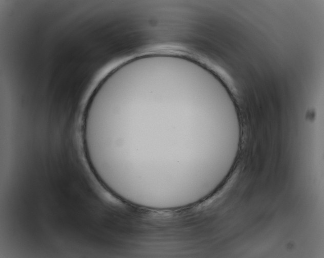X0000103911470200809191107