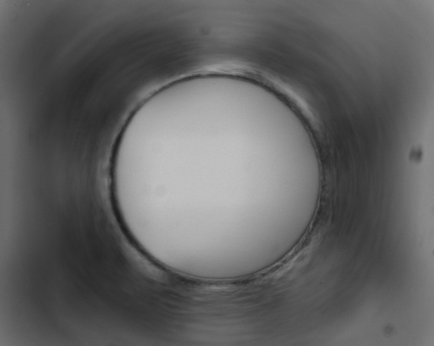 X0000103911471200809191107
