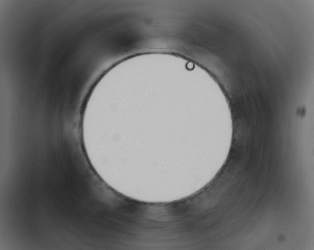 X0000103911472200809191107