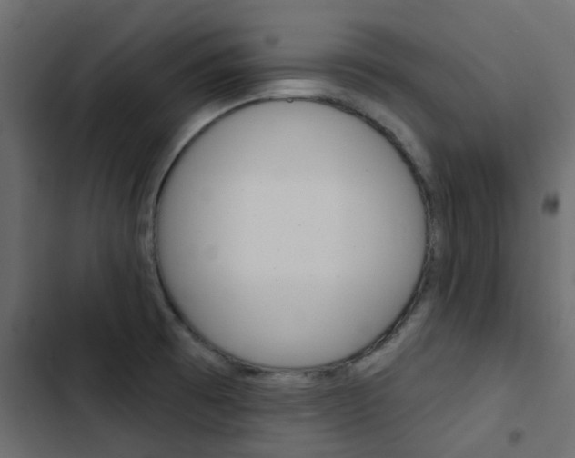 X0000103911473200809191107