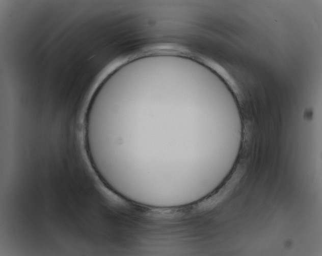 X0000103911474200809191107