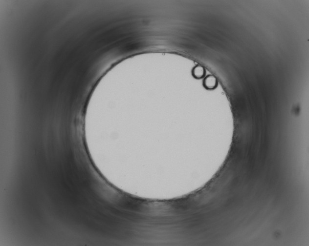 X0000103911476200809191107