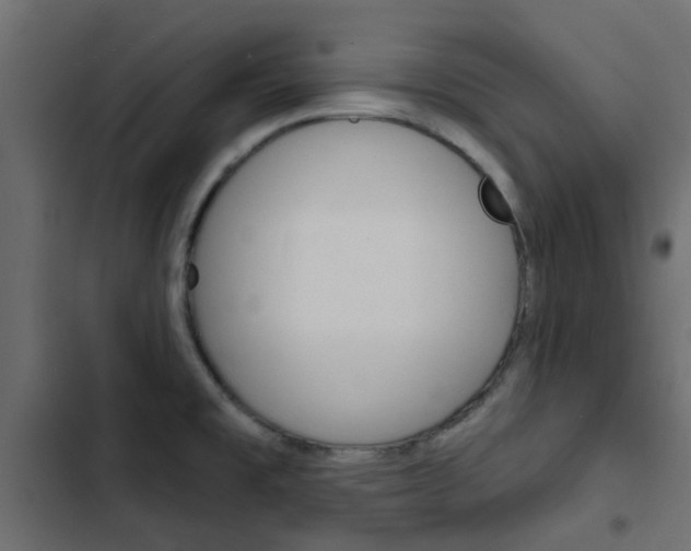 X0000103911477200809191107