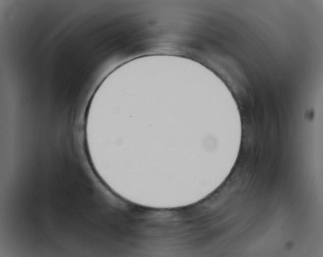 X0000103911479200809191107