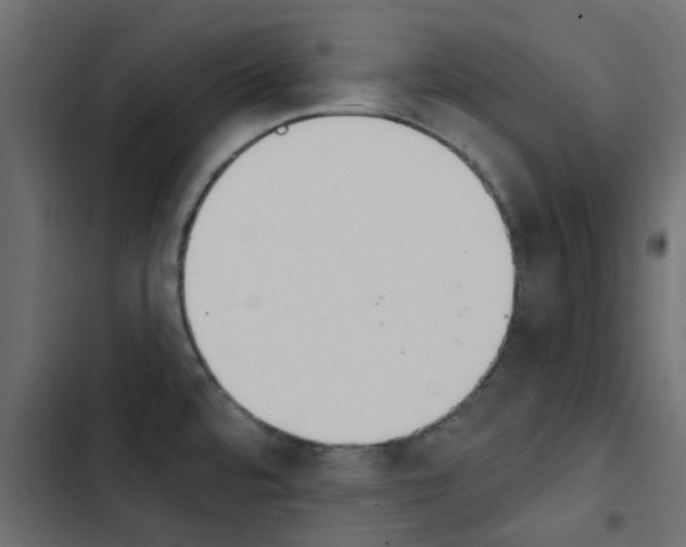 X0000103911480200809191107