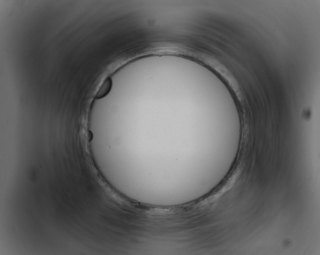 X0000103911481200809191107