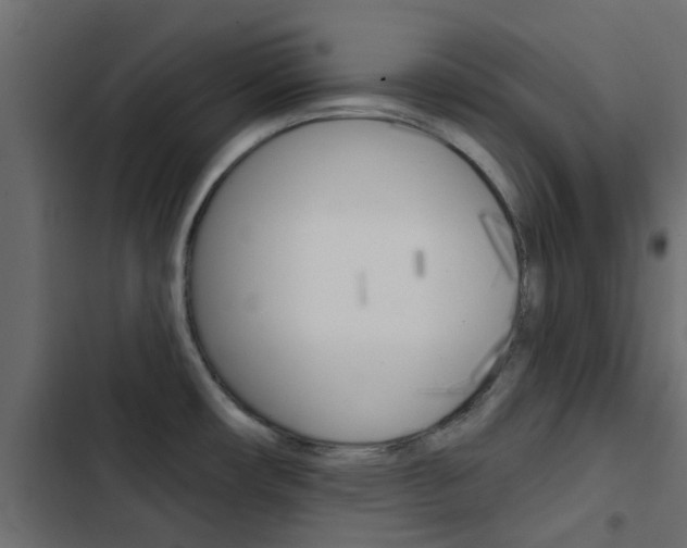 X0000103911482200809191107