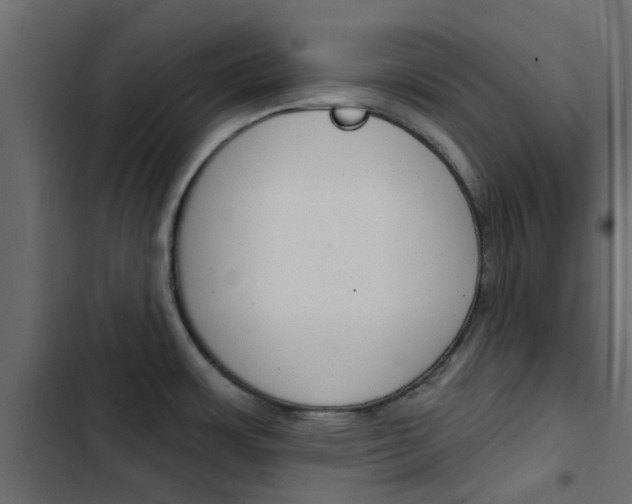 X0000103911483200809191107