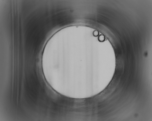 X0000103911484200809191107