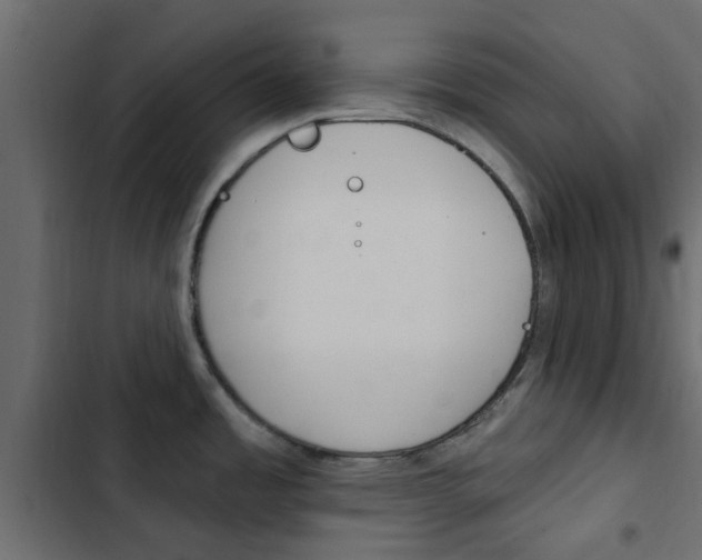 X0000103911485200809191107