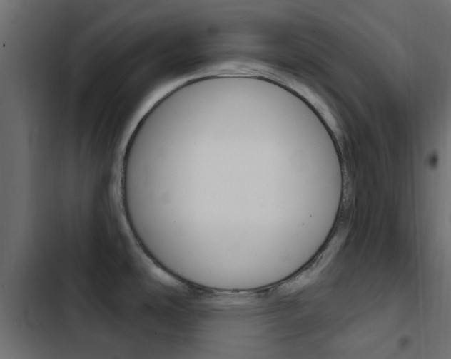X0000103911486200809191107
