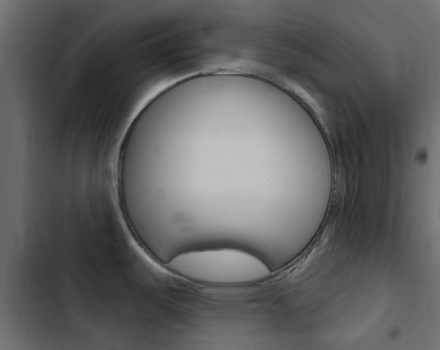 X0000103911487200809191107