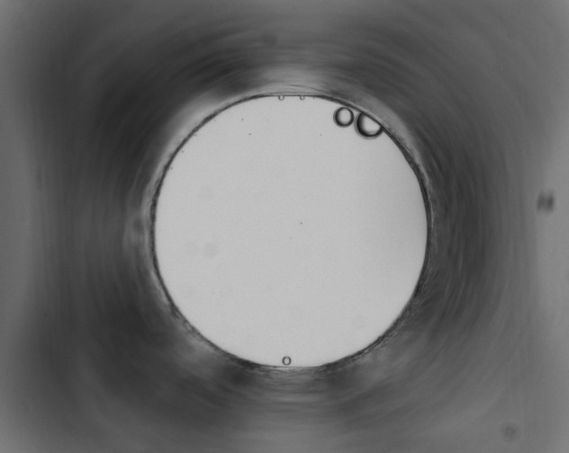 X0000103911488200809191107