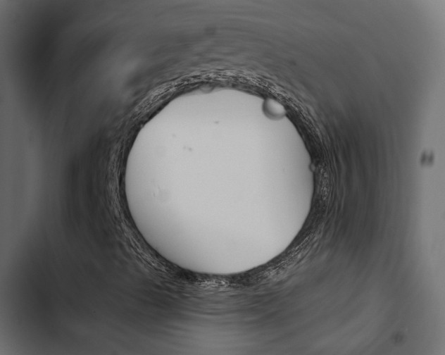 X0000103911489200809191106