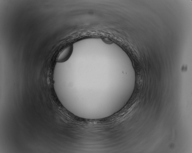 X0000103911490200809191106