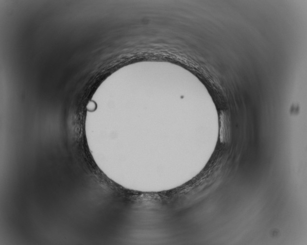 X0000103911491200809191106