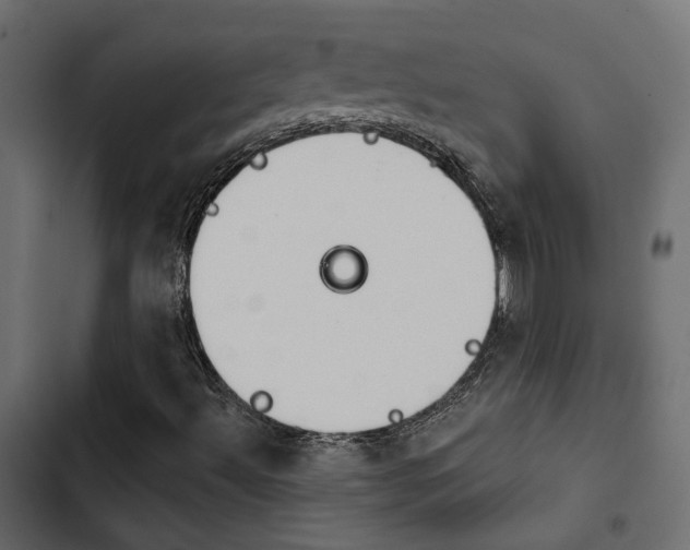 X0000103911492200809191106