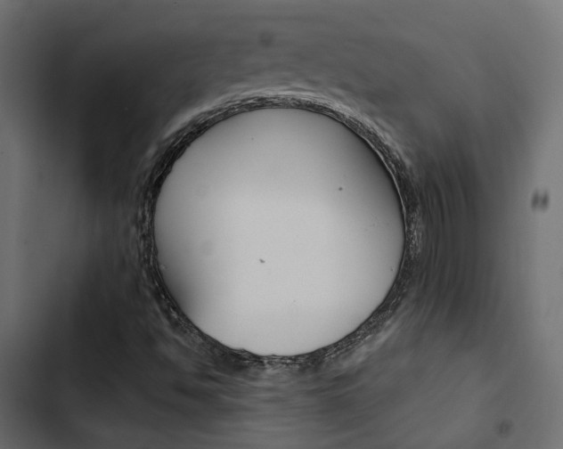 X0000103911494200809191106