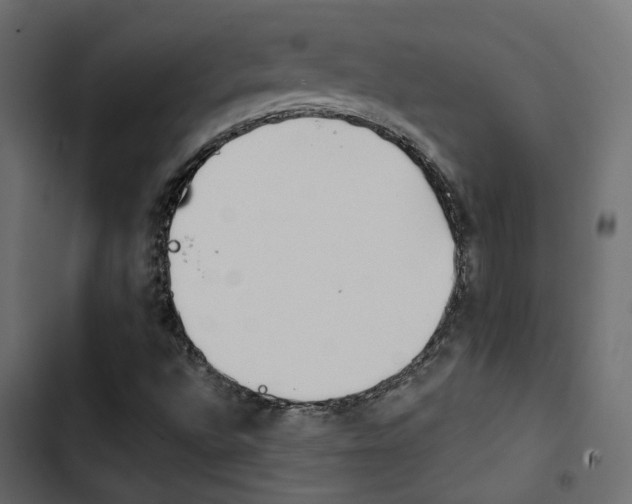 X0000103911496200809191106